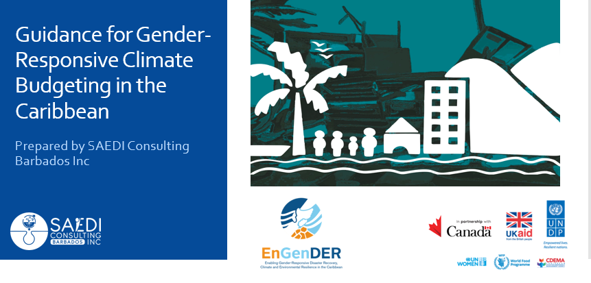 Gender-responsive Climate Budgeting Workshop for UN Women | SAEDI Consulting Barbados Inc